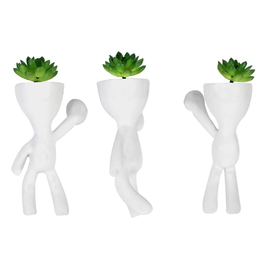 Garden Planters Wonderland | (Set Of 3) Small Yoga Climbing Succulents Pot For Walls Decoration.