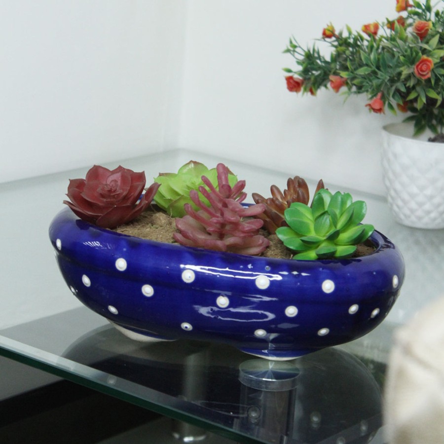 Garden Planters Wonderland | Ceramic Dotted Bonsai Tray Pot For Home Decoration (D Blue)