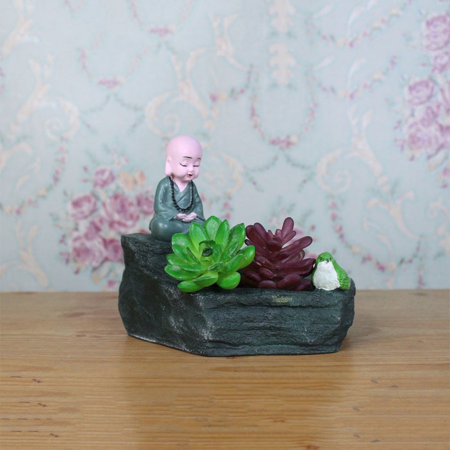 Garden Planters Wonderland | Monk Succulent For Home And Balcony Decoration (Pink)