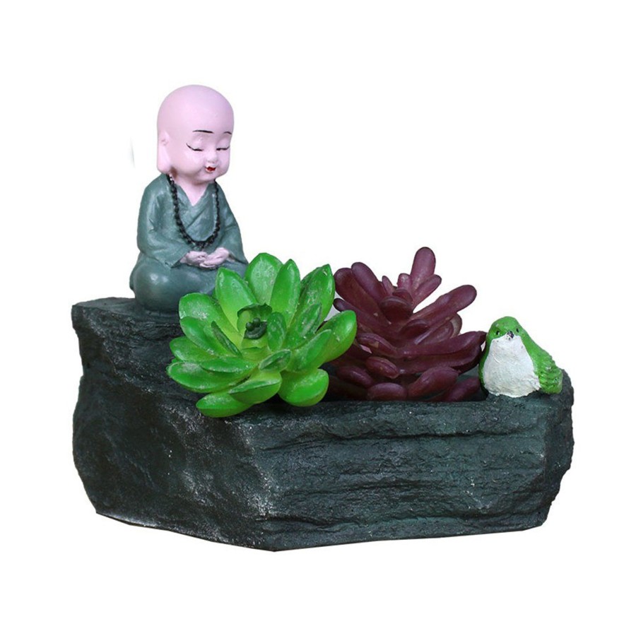 Garden Planters Wonderland | Monk Succulent For Home And Balcony Decoration (Pink)