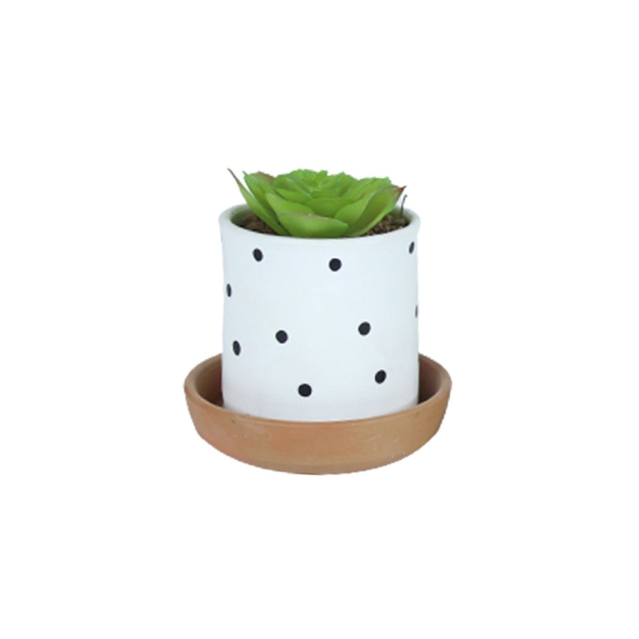 Garden Planters Wonderland | 4 Inch Table Top Terracotta Planters With Plate