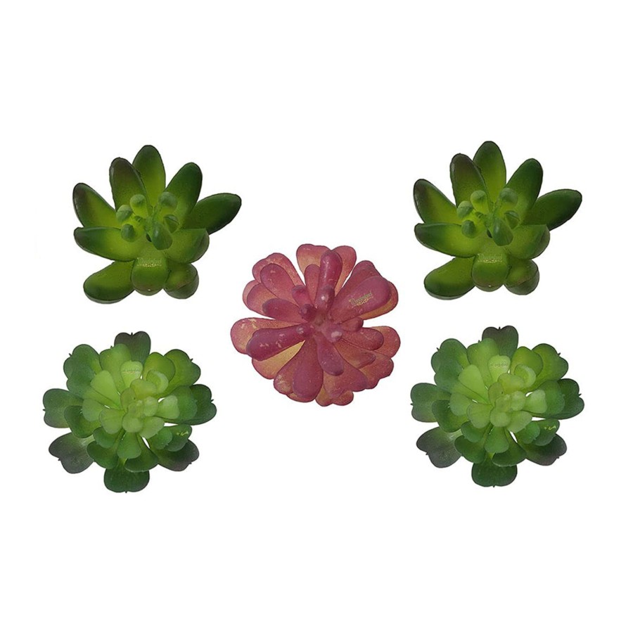 Artificial Turf Plants Wonderland Garden Arts and Craft | (5 Pieces) Artificial Succulent Plants