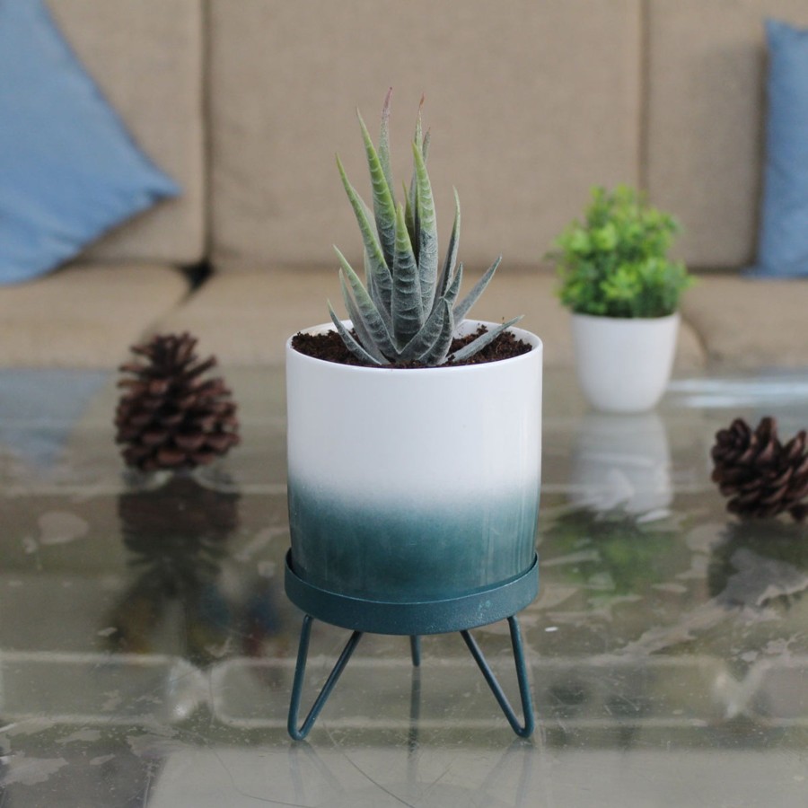 Garden Planters Wonderland | Dark Green Flame Pot With Stand