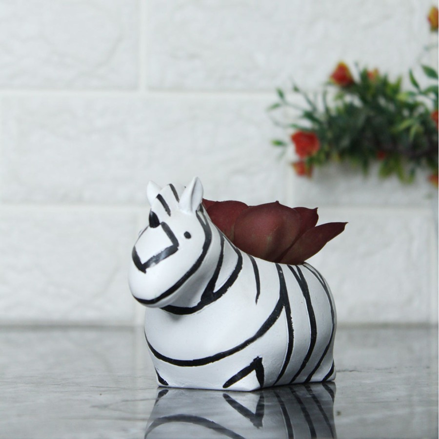 Garden Planters Wonderland | Zebra Succulent Pot For Home And Balcony Decoration