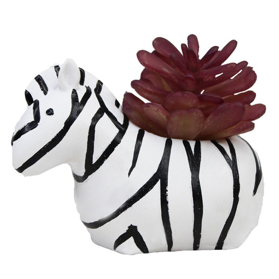 Garden Planters Wonderland | Zebra Succulent Pot For Home And Balcony Decoration