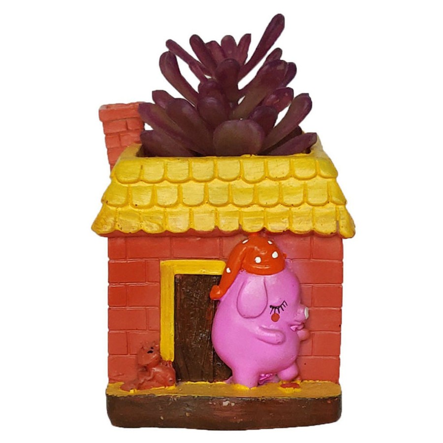 Garden Planters Wonderland | Pig In House Succulent Pot For Home And Balcony Decoration