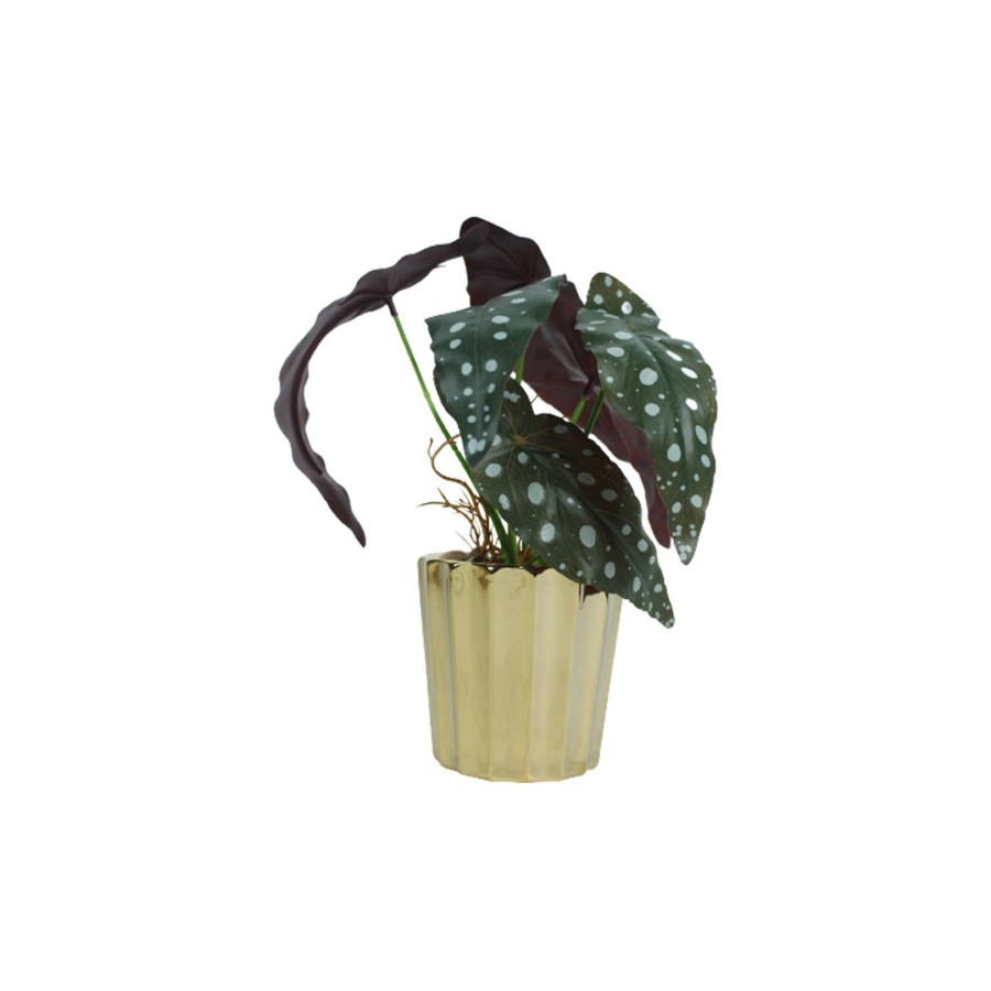 Garden Planters Wonderland | Succulents Plants Artificial Fake Plants Potted In Gold