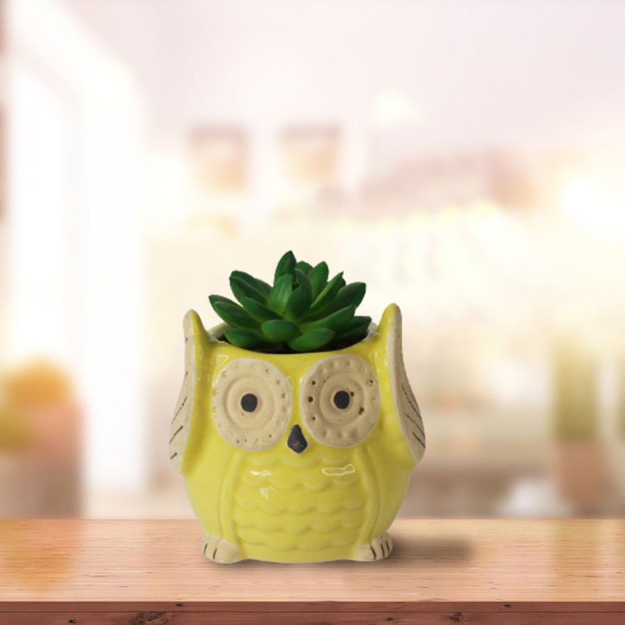 Garden Planters Wonderland Garden Arts and Craft | Ceramic Small Owl Flower Pot (Lime Yellow)