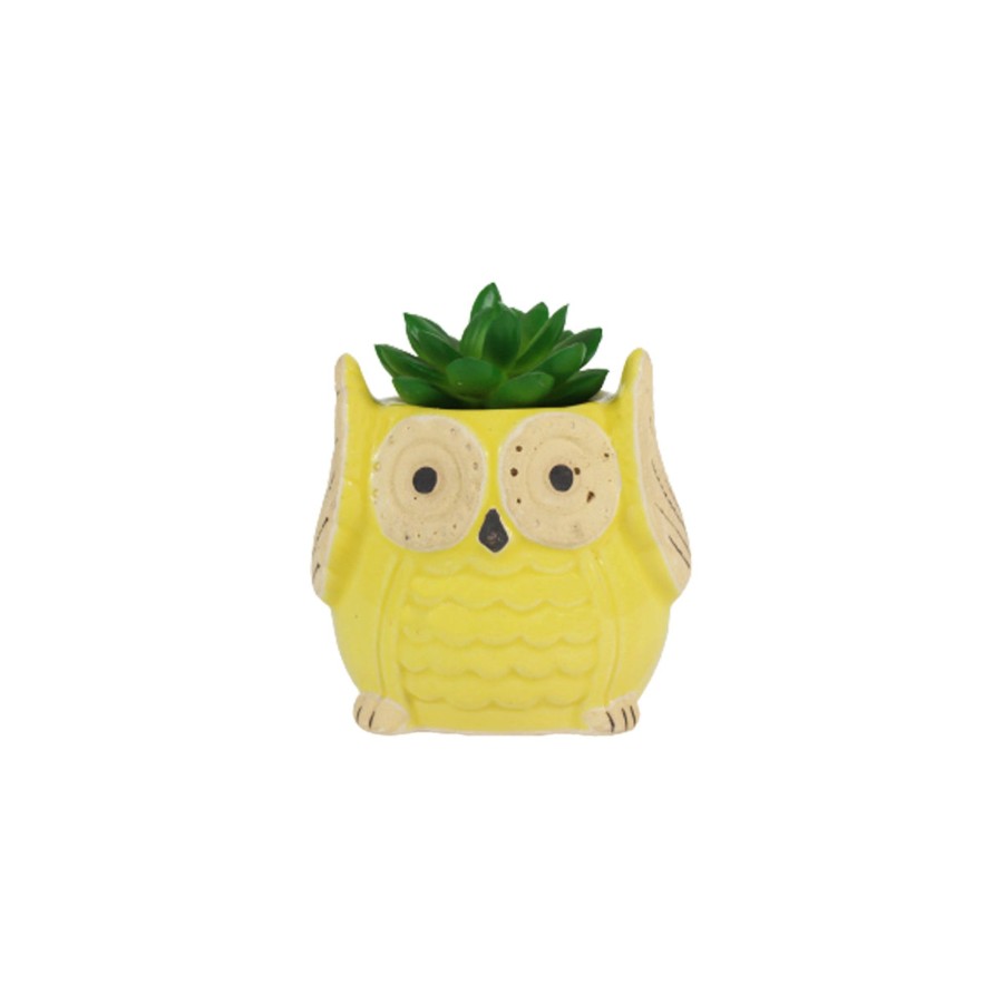 Garden Planters Wonderland Garden Arts and Craft | Ceramic Small Owl Flower Pot (Lime Yellow)