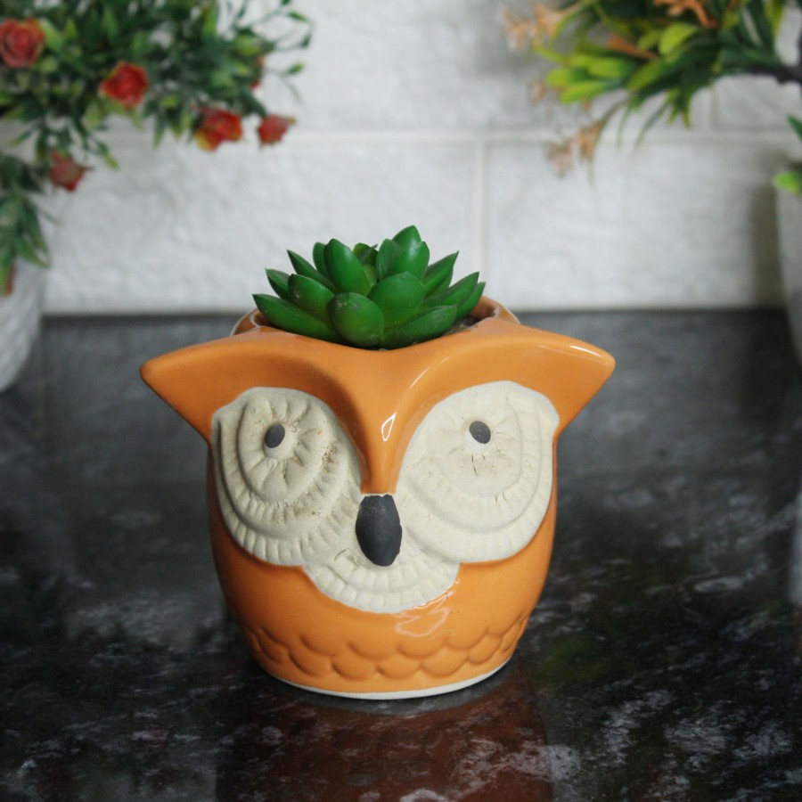 Garden Planters Wonderland | Big Eyes Owl Orange Ceramic Succulent Pot For Home Decoration