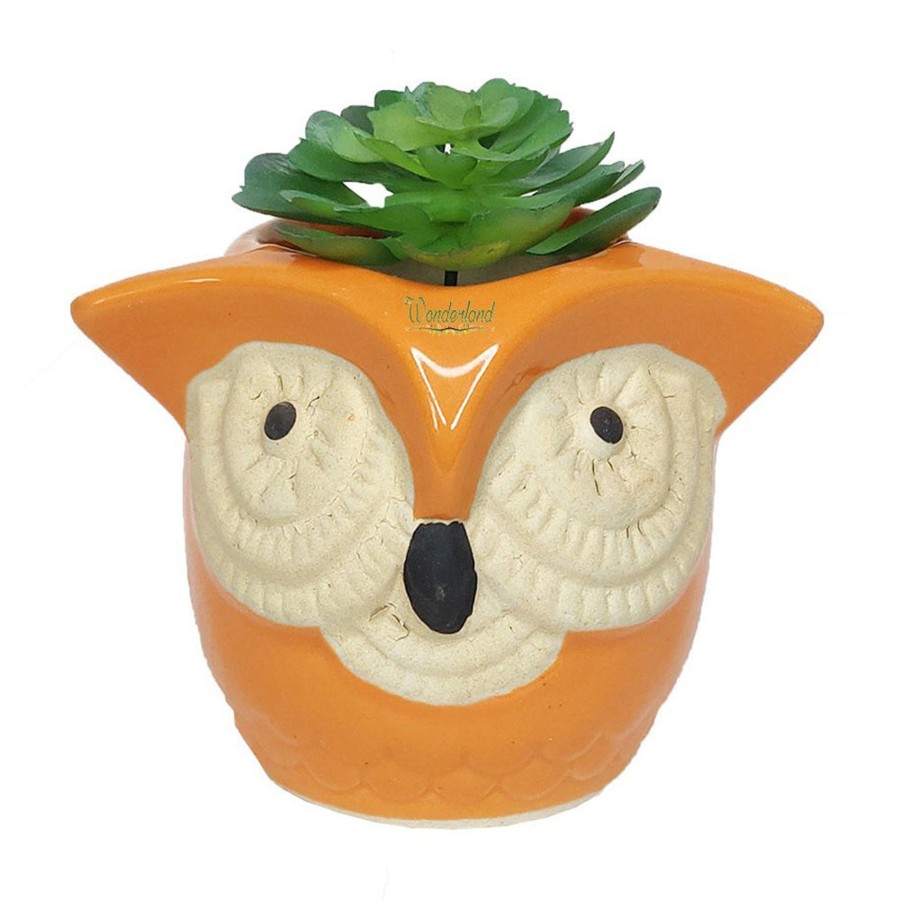 Garden Planters Wonderland | Big Eyes Owl Orange Ceramic Succulent Pot For Home Decoration