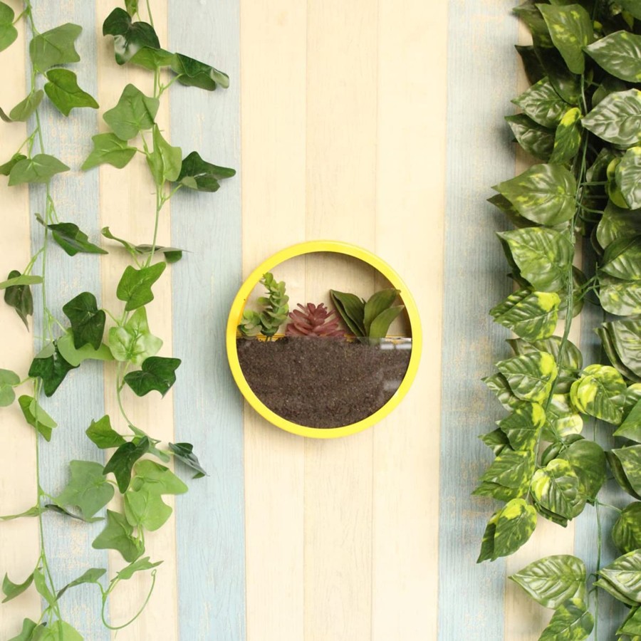 Garden Planters Wonderland | Small Yellow Wall Ring Planter With Glass Front