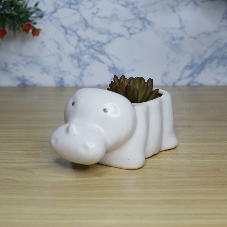 Garden Planters Wonderland | Ceramic Small Size Hippo Shaped Pot For Home Decoration