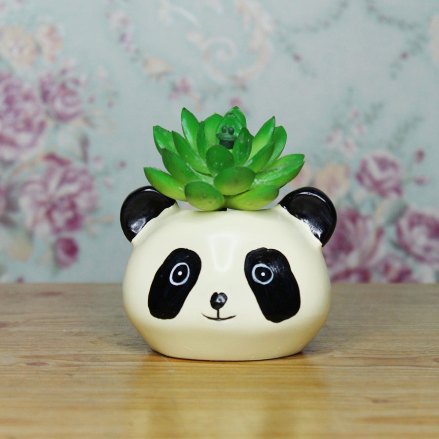 Garden Planters Wonderland | Small Panda Succulent Pot For Home And Balcony Decoration