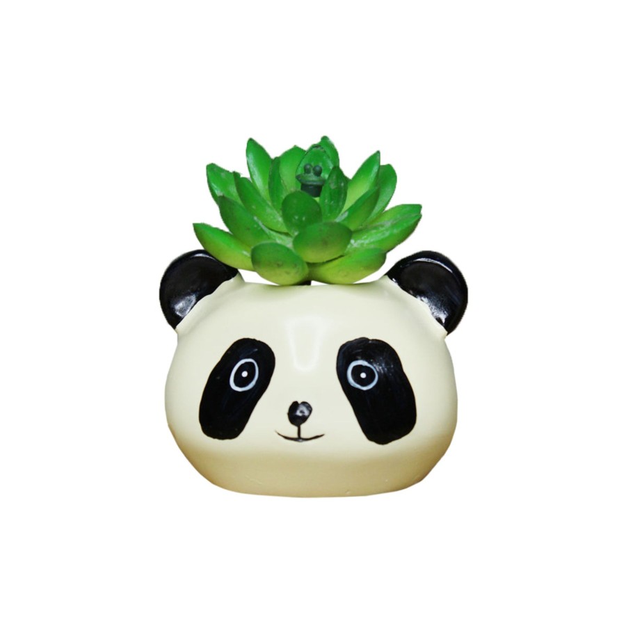 Garden Planters Wonderland | Small Panda Succulent Pot For Home And Balcony Decoration