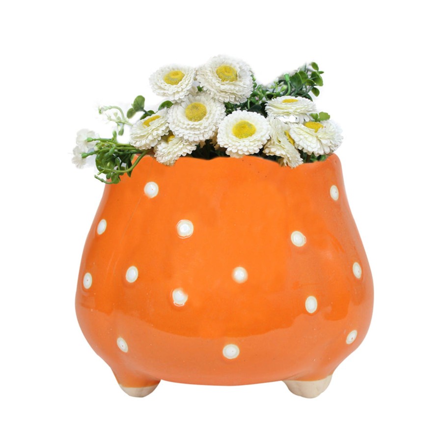 Garden Planters Wonderland | Ceramic Big Flower Shape Pot (Orange)