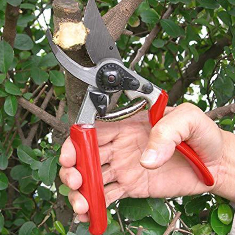 Garden Essentials Wonderland Peekay | Winland Heavy Duty High Quality Garden Tools